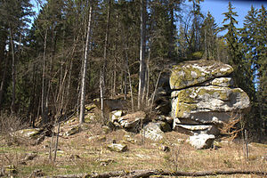 Burgstall Schwarzenschwall – Ansicht der Spitze des Felsspornes auf dem die Burg stand