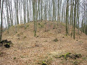 Burgstall Wagesenberg - Ansicht des großen Turmhügels von Westen