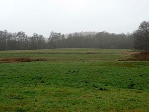 Blick auf den Burgwall