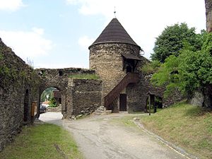 Schloss-Ruine Elsterberg