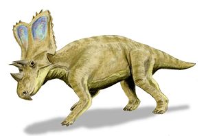 Lebendrekonstruktion von Chasmosaurus