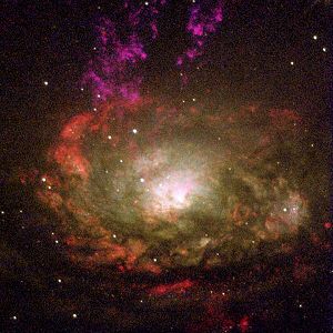 Circinus.galaxy.750pix.jpg