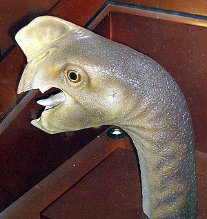 Kopfrekonstruktion von Citipati sp. im Natural History Museum in London.