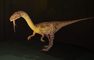 Bewegliches Modell von Coelophysis im Londoner Natural History Museum