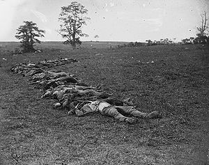 Am Antietam gefallene Konföderierte, aufgereiht zur BestattungFoto von Alexander Gardner