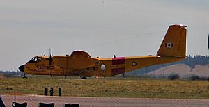 DHC-5 der kanadischen Streitkräfte