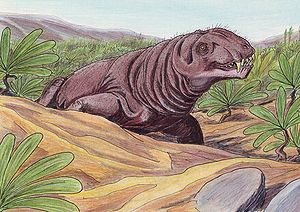 Künstlerische Darstellung von Deuterosaurus biarmicus