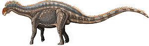 Lebendrekonstruktion von Dicraeosaurus hansemanni
