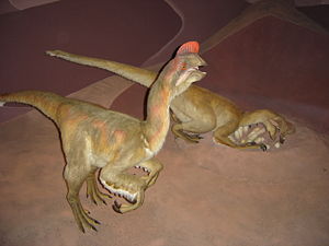Oviraptor, Lebendrekonstruktion