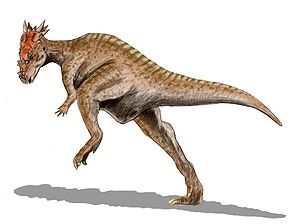 Lebendrekonstruktion von Dracorex