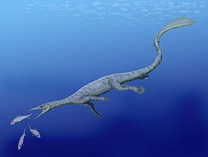 Endennasaurus acutirostris aus der Obertrias von Norditalien