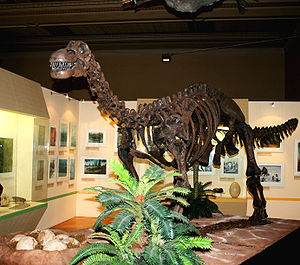 Skelettrekonstruktion von Epachthosaurus im Prager Nationalmuseum.