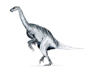 Lebendrekonstruktion von Erlikosaurus mit primitiven Federn wie sie für Beipiaosaurus nachgewiesen wurden.
