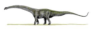 Futalognkosaurus dukei, zeichnerische Rekonstruktion