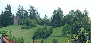 Gesamtansicht der Burg Schwarzwald (2009)