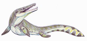 Goronyosaurus, Lebendrekonstruktion