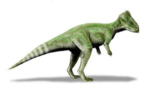 Lebendrekonstruktion von Graciliceratops
