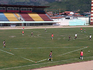 Estadio Guillermo Soto Rosa
