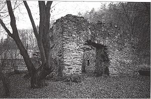 Ruine Hüttelngesäß 1995