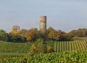 Burg Scharfenstein (Ostansicht)