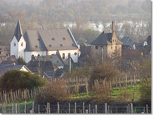 Blick vom Aussichtspunkt auf die Hattenheimer Burg, sowie die Kirche St. Vincenz
