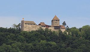 Burg Hohenklingen nach Renovierung 2008