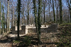 Rekonstruierte Mauern auf den ursprünglichen Fundamenten der Burg