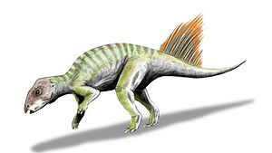 Spekulative Rekonstruktion von Hongshanosaurus, angelehnt an Psittacosaurus