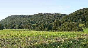 Amtsberge bei Dassel mit Burgruine Hunnesrück auf mittlerer Erhebung