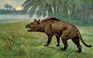 Lebendrekonstruktion von Hyaenodon (Gemälde von Heinrich Harder, entstanden um 1920)