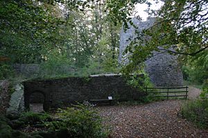 Mauerreste mit Bergfried