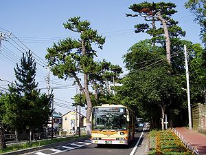 Ōiso (Kanagawa)