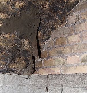 Von einer Gewölbedecke hängendes Kellertuch (Zasmidium cellare)