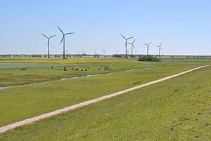 Die sechs Windkraftanlagen des Windparks Pilsum am Deich