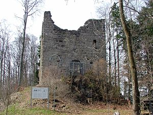 Burg Langenegg - Ansicht des Wohnturmes