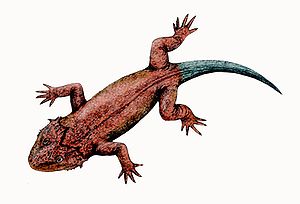 Lebensbild von Lanthanosuchus watsoni