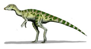 Leaellynasaura, Zeichnung