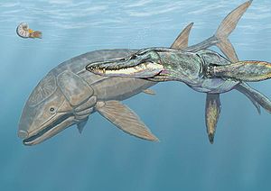 Liopleurodon rossicus und der gewaltige Knochenfisch Leedsichthys problematicus