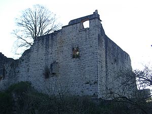 Schildmauer der Burg Leofels