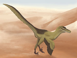 Lebendrekonstruktion von Linheraptor exquisitus.