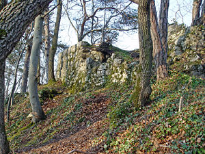 Mauerreste der ehemaligen Burg Münchsberg