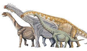 Verschiedene Macronaria; Camarasaurus links (braun), Brachiosaurus im Hintergrund (grau), Giraffatitan in der Mitte (gelb), Euhelopus im Vordergrund (grün)