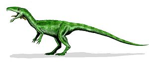 Masiakasaurus knopfleri, Lebendrekonstruktion
