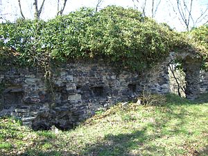 Mauerrest der alten Burg Dohna