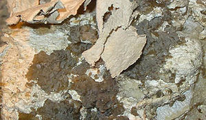 Mineraly.sk - palygorskit.jpg