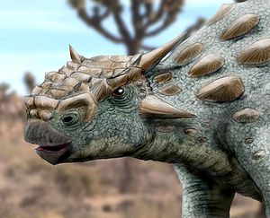 Kopfrekonstruktion von Minotaurasaurus ramachandrani