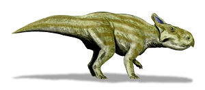 Lebendrekonstruktion von Montanoceratops