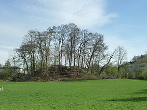 Ruine Moosburg