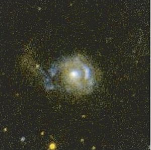 NGC 2782GALEX.jpg