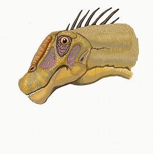 Lebendrekonstruktion des Kopfes von Nemegtosaurus
